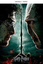 PUZZLE HARRY POTTER VS VOLDEMORT 1000 PIEZAS