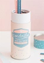 JUEGO PARA PAREJAS WONDERLOVE