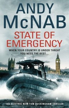 STATE OF EMERGENCY-INGLES-