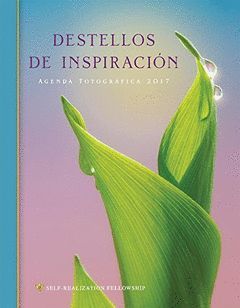 DESTELLOS DE INSPIRACION