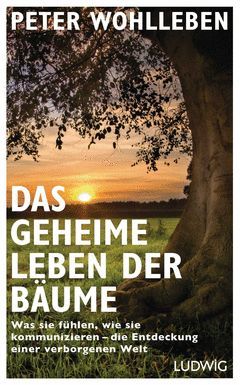 DAS GEHEIME LEBEN DER BÄUME