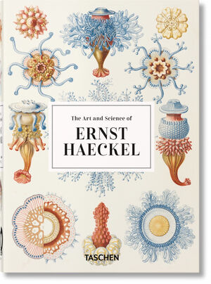 ERNST HAECKEL – 40