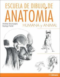 ESCUELA DIBUJO ANATOMIA HUMANA Y ANIMAL