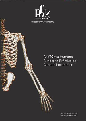 ANATOMÍA HUMANA. CUADERNO PRÁCTICO DEL APARATO LOCOMOTOR.