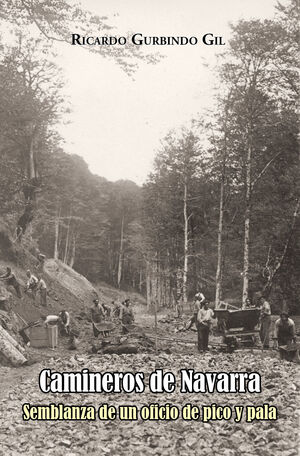 CAMINEROS DE NAVARRA. SEMBLANZA DE UN OFICIO DE PICO Y PALA