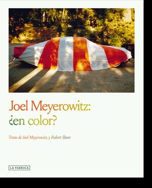 JOEL MEYEROWITZ:¿EN COLOR?