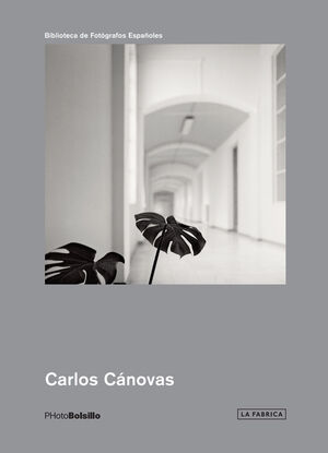 CARLOS CÁNOVAS