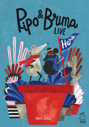 PIPO & BRUMA LIVE HERE