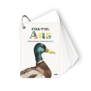 FIXA-T'HI: AUS