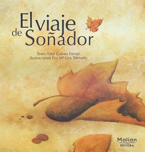 VIAJE DE SOÑADOR