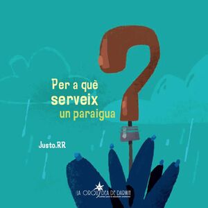 PER A QUE SERVEIX UN PARAIGUA?