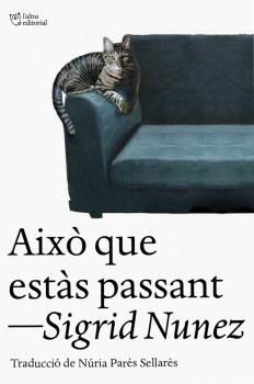 AIXO QUE ESTAS PASSANT