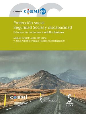 PROTECCIÓN SOCIAL: SEGURIDAD SOCIAL Y DISCAPACIDAD
