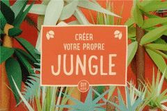 CRÉER VOTRE PROPRE JUNGLE