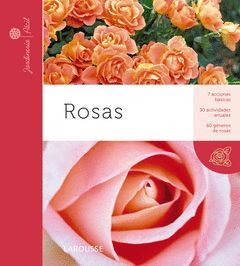 ROSAS. LAROUSSE-DURA