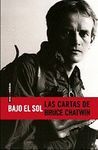 BAJO EL SOL/LAS CARTAS DE BRUCE CHATWIN. SEXTO PISO-RUST