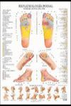 REFLEXOLOGIA PODAL