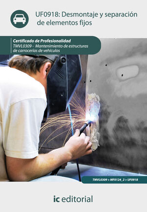 DESMONTAJE Y SEPARACI¢N DE ELEMENTOS FIJOS. TMVL0309 - MANTENIMIENTO DE ESTRUCTU