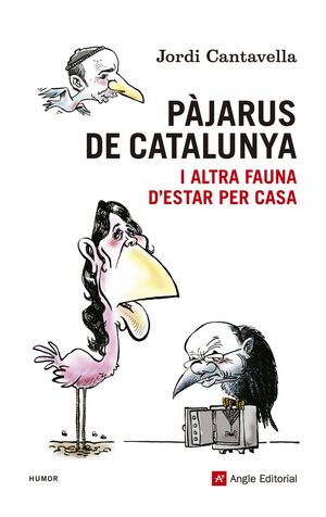 PÀJARUS DE CATALUNYA. ANGLE-RUST