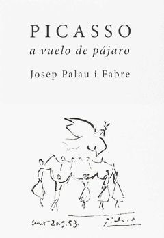 PICASSO A VUELO DE PAJARO