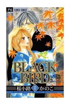 BLACK BIRD 17