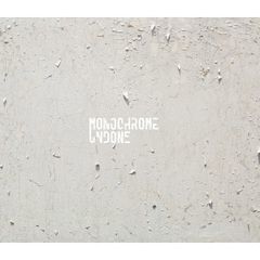 MONOCHROME UNDONE