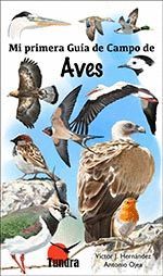 MI PRIMERA GUIA DE CAMPO DE AVES