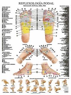 REFLEXOLOGIA PODAL