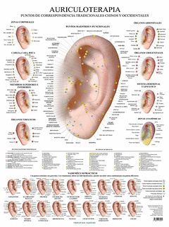 AURICULOTERAPIA