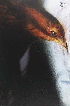 SANDMAN: EDICIÓN DELUXE 01 - EDICIÓN CON FUNDA DE ARENA