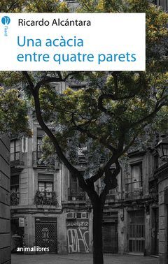 UNA ACÀCIA ENTRE QUATRE PARETS