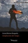 AMPLIACION DEL FUEGO