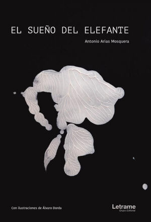EL SUE¤O DEL ELEFANTE