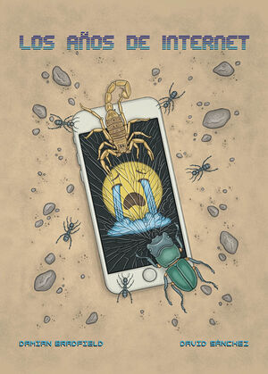 LOS AÑOS DE INTERNET