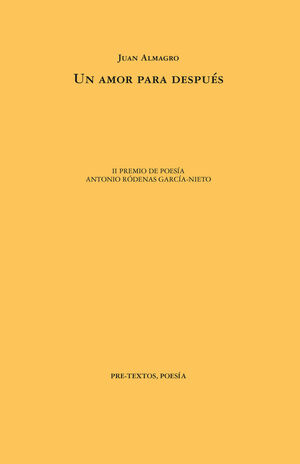 UN AMOR PARA DESPUÉS