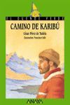 CAMINO DE KARIBU.DV-