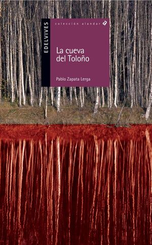 LA CUEVA DE TOLOÑO