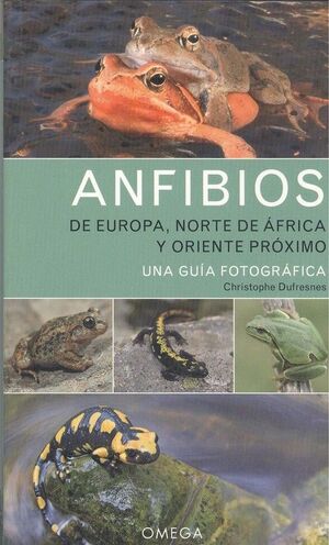 ANFIBIOS DE EUROPA NORTE DE AFRICA Y ORIENTE PROXIMO