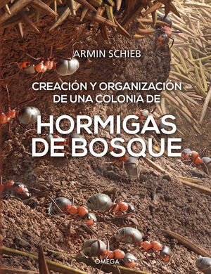 HORMIGAS DE BOSQUE