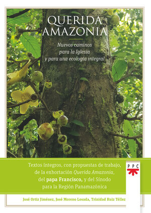 QUERIDA AMAZONIA