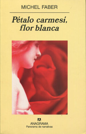 PETALO CARMESI FLOR BLANCA.PN-573