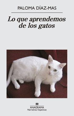 LO QUE APRENDEMOS DE LOS GATOS.NH-533