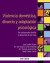 VIOLENCIA DOMÉSTICA, DIVORCIO Y ADAPTACIÓN PSICOLÓGICA. PIRAMIDE