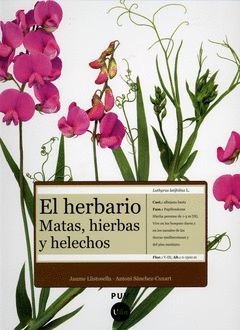 EL HERBARIO: MATAS, HIERBAS Y HELECHOS