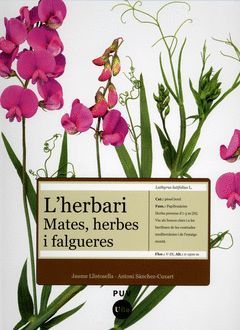 L'HERBARI: MATES, HERBES I FALAGUERES