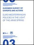 EUROMED SURVEY OF EXPERTS AND ACTORS III.