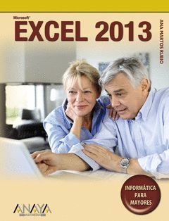 EXCEL 2013