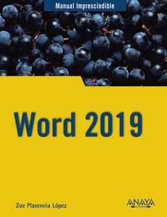 WORD 2019