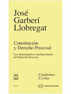 CONSTITUCION Y DERECHO PROCESAL: LOS FUNDAMENTOS C
