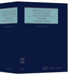 DERECHO PROCESAL PENAL 2ª ED